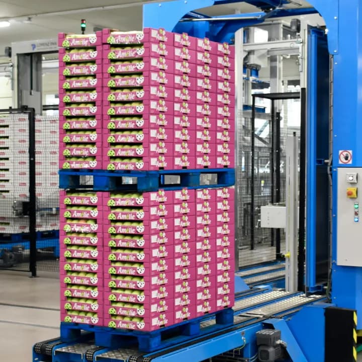 Palettierte Kartons verlassen eine automatisierte Palettierzelle auf einem Förderband.